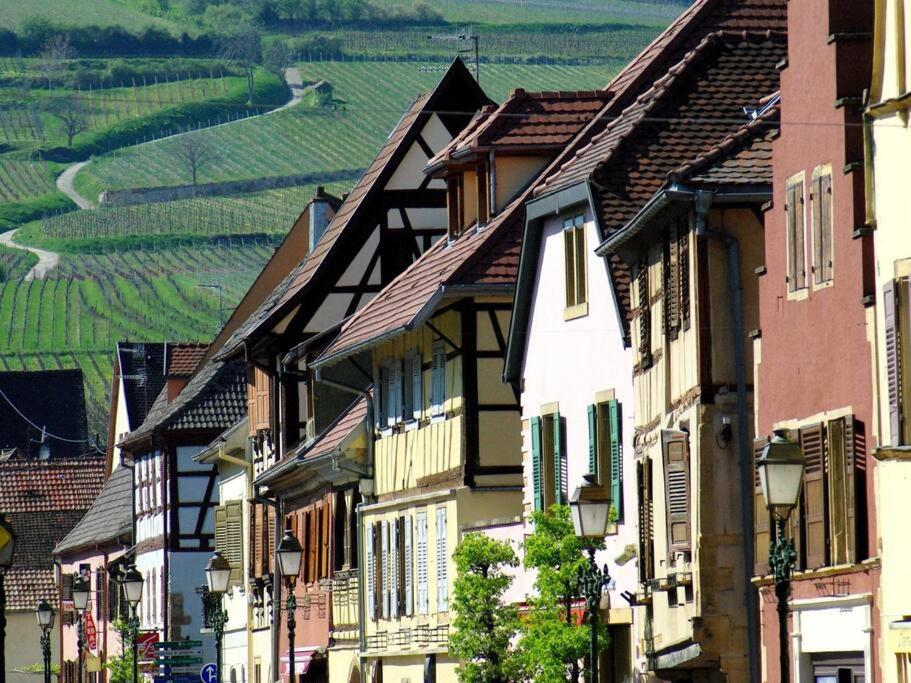 La Sorciere In A Typical Alsatian House Apartment Rouffach Exterior photo